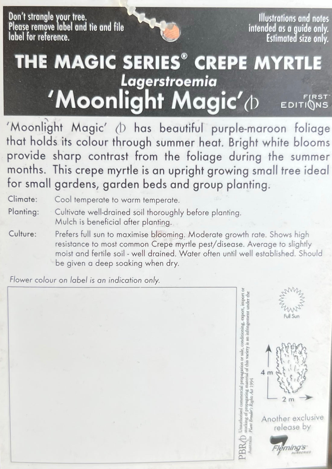 Crepe Myrtle Moonlight Magic (Lagerstroemia indica) - Ladybird Nursery