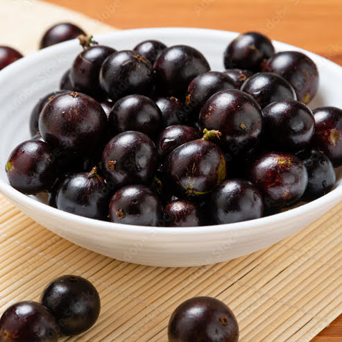 Jaboticaba Advanced Grimal (Large Leaf)