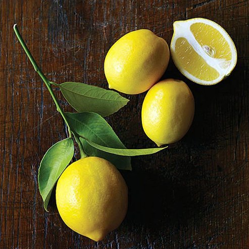 Lemon Eureka 300mm PICKUP ONLY - Ladybird Nursery