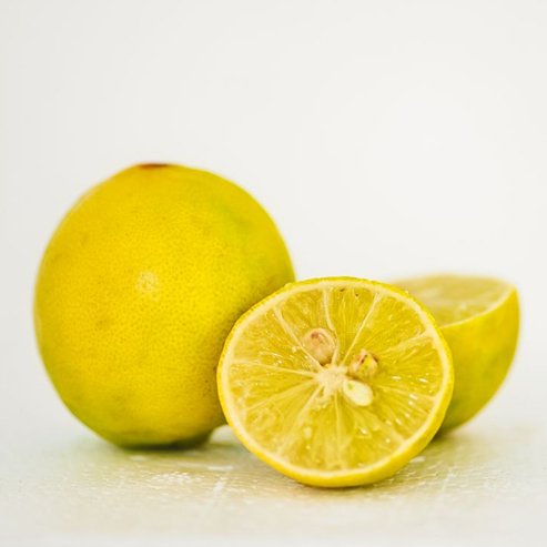 Lime Sweet (QLD Only) - Ladybird Nursery