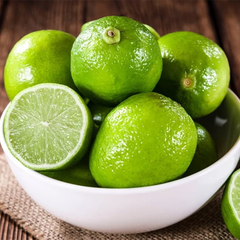 Dwarf Lime 'Sublime' (QLD Only)