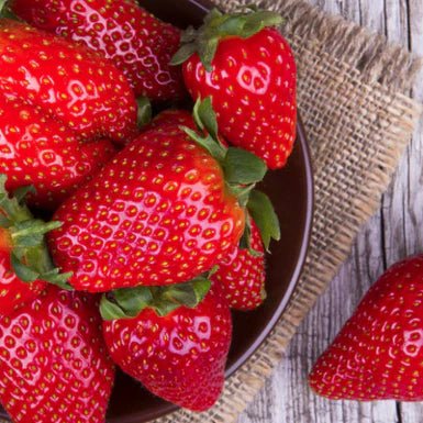 Strawberry 'Loran' - Ladybird Nursery