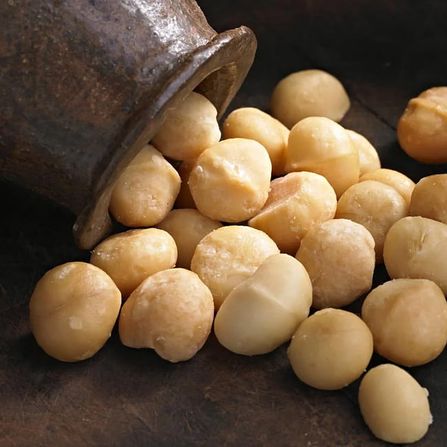 Macadamia Integrilfolia Hybrid G6