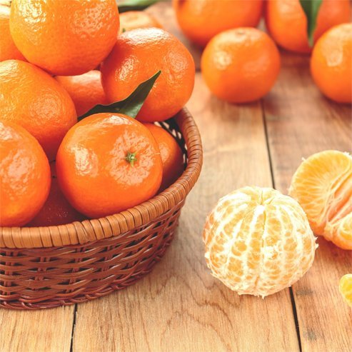 Mandarin Clementine (QLD Only) - Ladybird Nursery