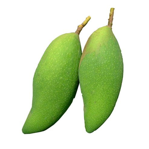 Mango Elephant Xoai Tuong