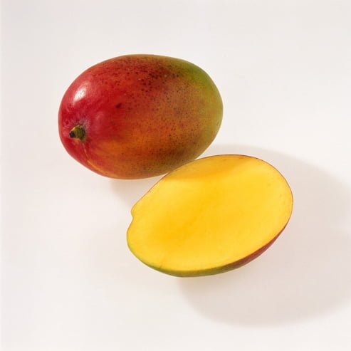 Mango 'Parvin' - Ladybird Nursery