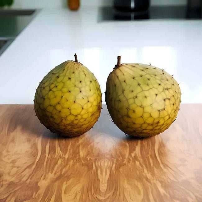 Mountain Soursop - Ladybird Nursery