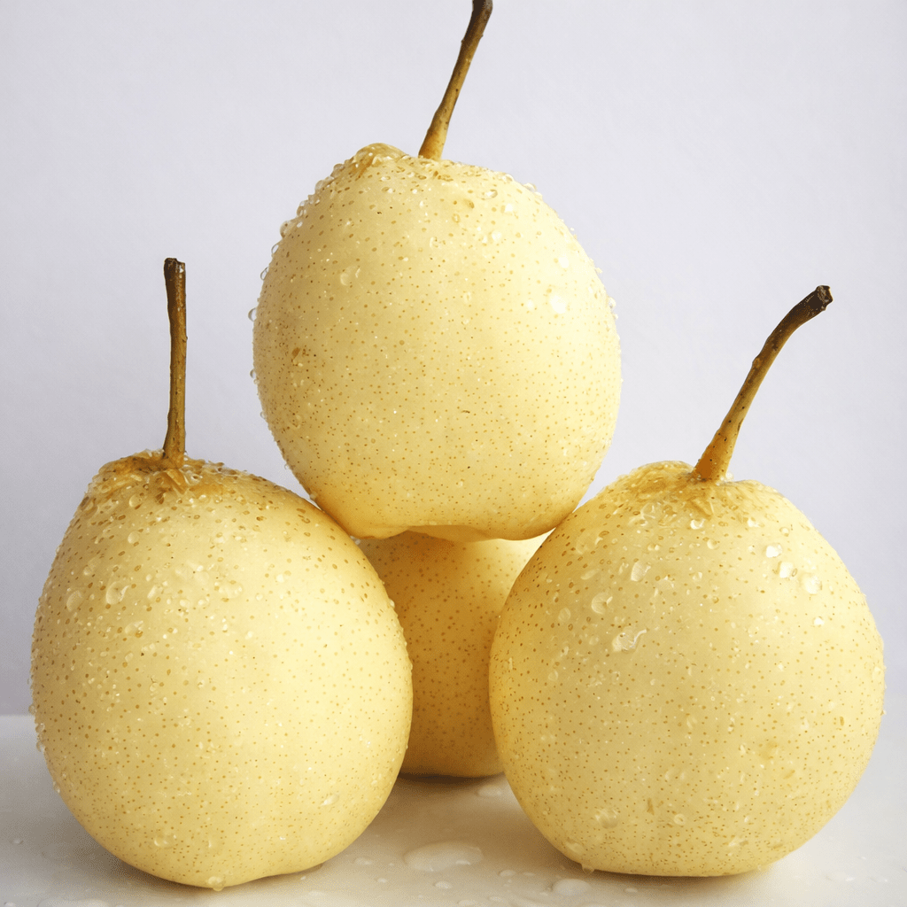 Nashi Pear 'China' - Ladybird Nursery