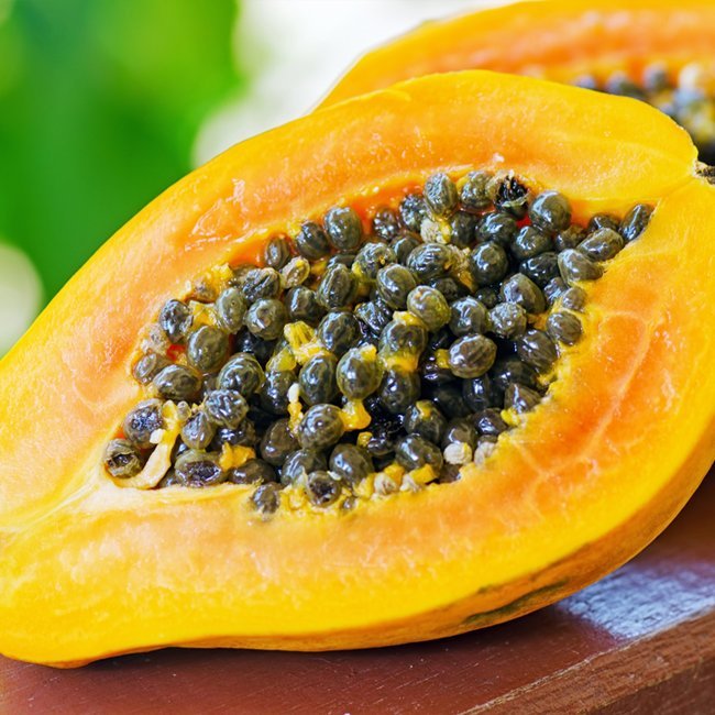 Pawpaw Bisexual 'Yellow' (QLD ONLY) - Ladybird Nursery