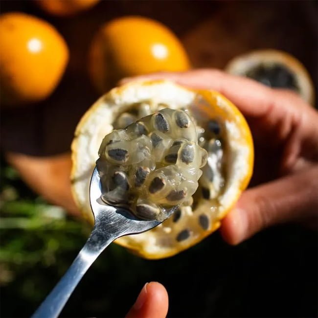 Passion fruit Sweet Granadilla - Ladybird Nursery