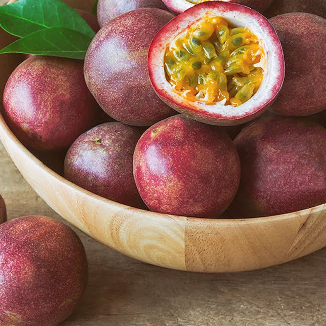 Passionfruit Misty Gem - Ladybird Nursery