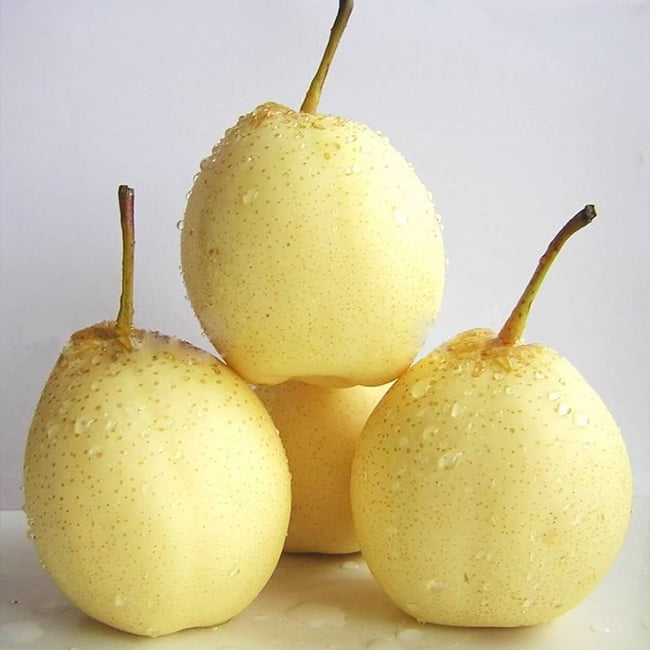 Pear - Nashi China