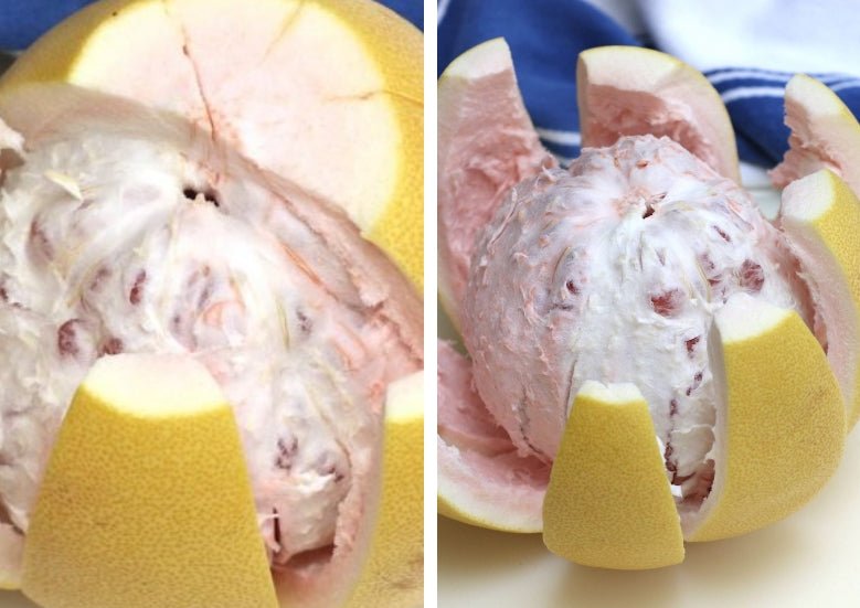 Carters Red Pomelo (QLD Only) - Ladybird Nursery