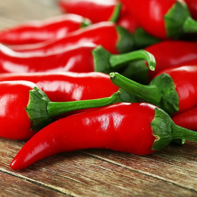 Red Hot Cayenne Chilli - Ladybird Nursery