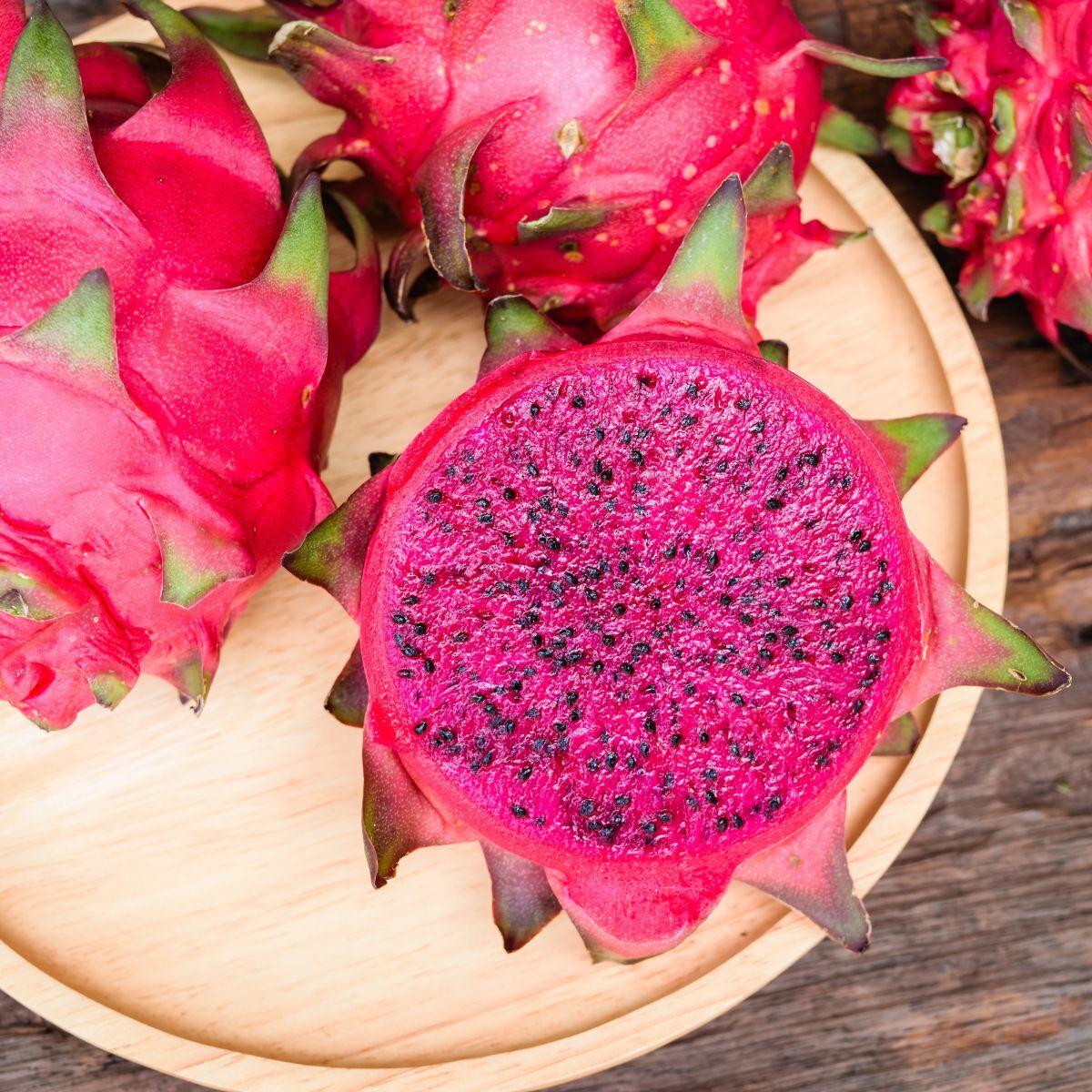 Jade Red Dragon Fruit - Ladybird Nursery