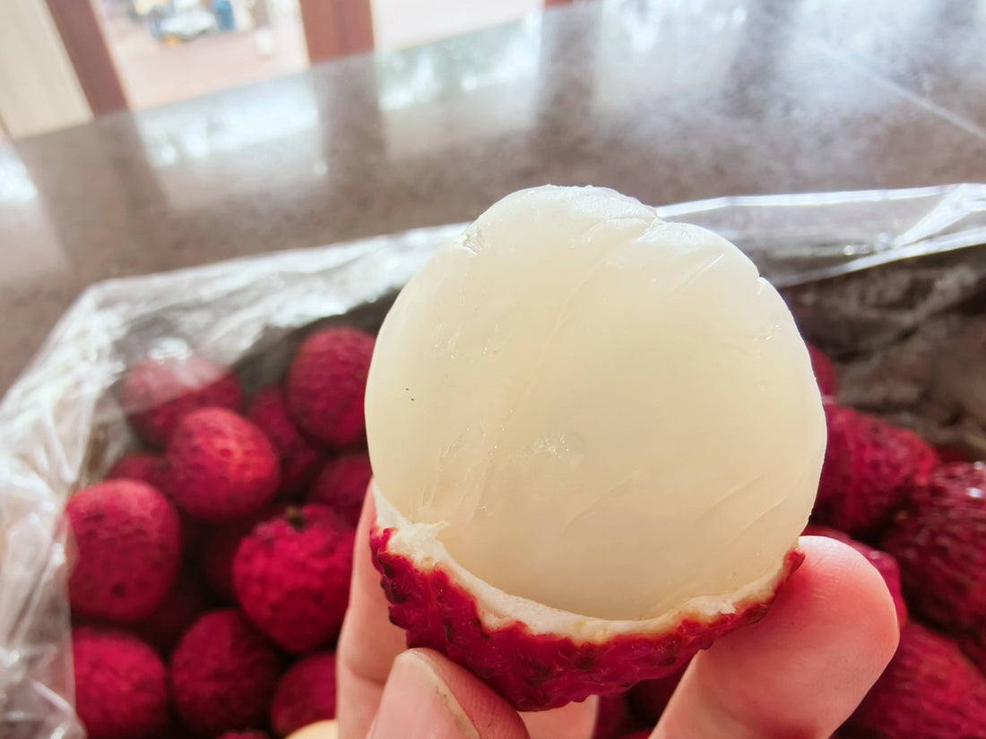 Erdon Lee Lychee - Ladybird Nursery