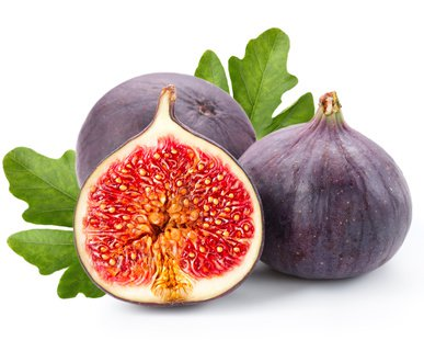 Black Genoa Fig - Medium - Ladybird Nursery