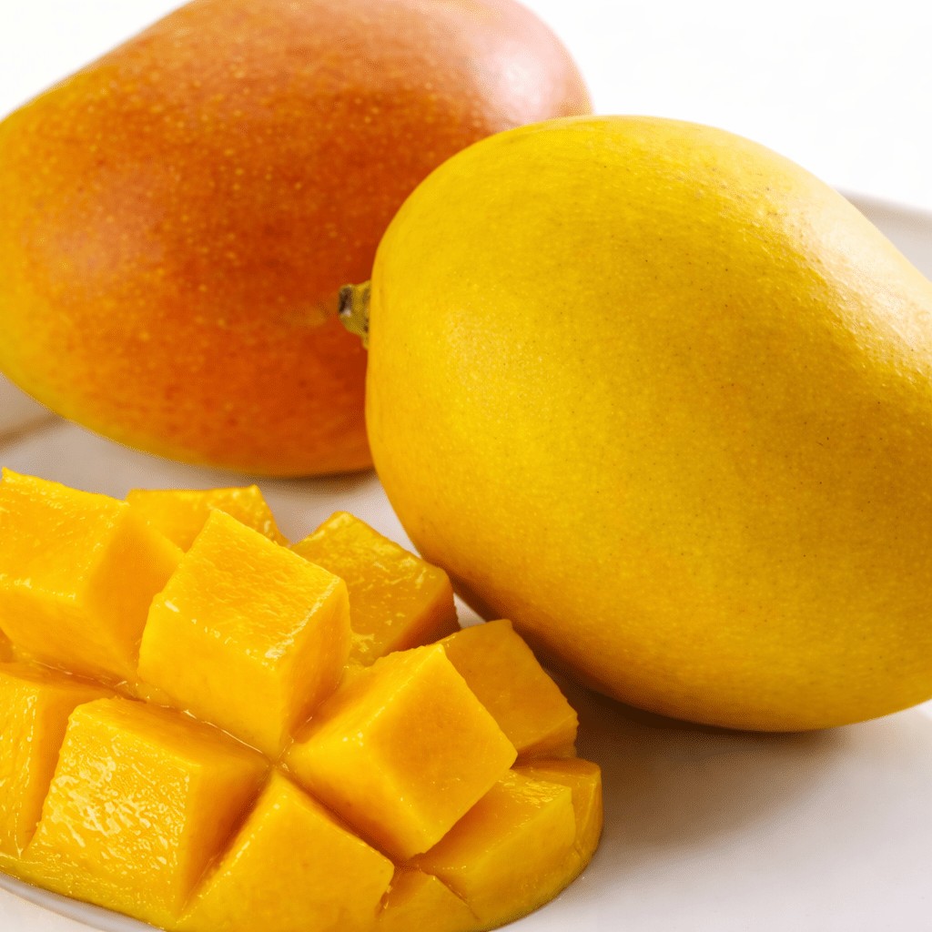 Mango ‘Kensington Pride’ / ‘Bowen’ - Ladybird Nursery