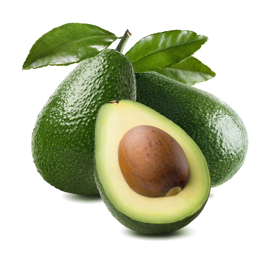 Avocado Zutano (B) - Ladybird Nursery