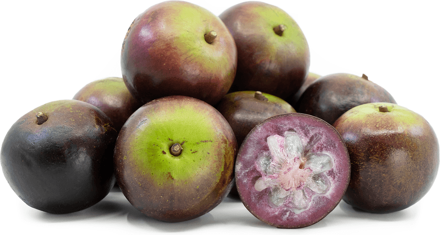 Star Apple - Ladybird Nursery