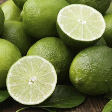 Dwarf Lime 'Tahitian' 300mm (PICKUP ONLY) - Ladybird Nursery
