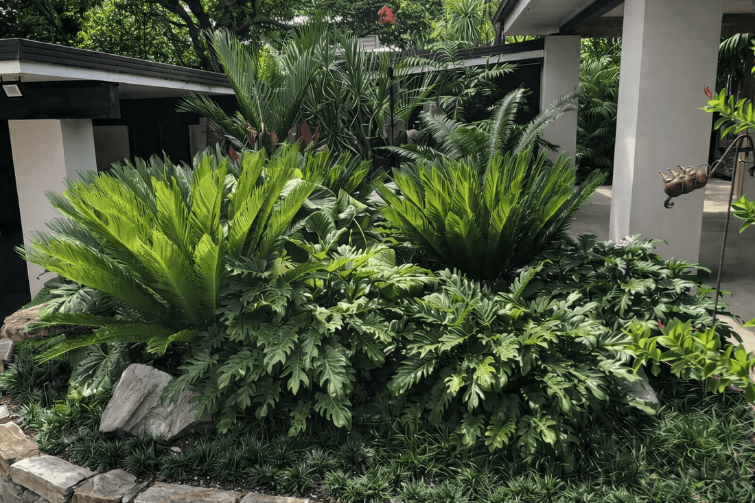 Philodendron 'Xanadu' 200mm Pot - Ladybird Nursery