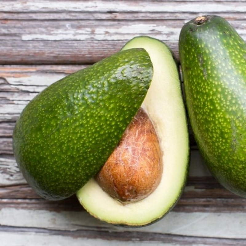 Avocado Zutano (B) - Ladybird Nursery