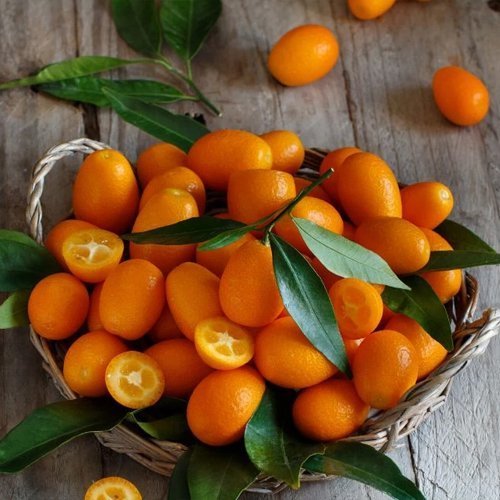 Cumquat