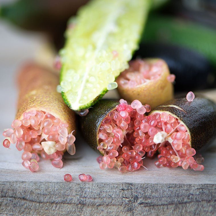 Finger Lime - Ladybird Nursery