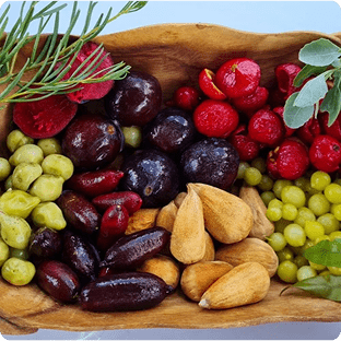 Australian Bush Foods - Ladybird Nursery