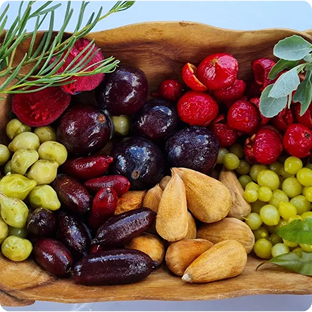 Australian Bush Foods