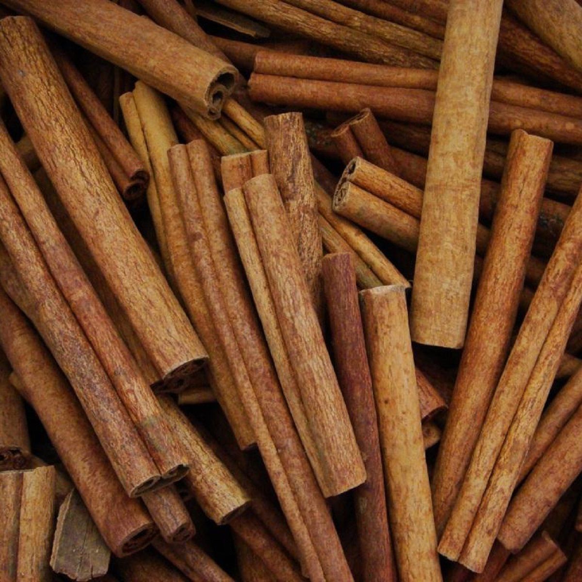 Ceylon Cinnamon (Cinnamomum zeylanicum)
