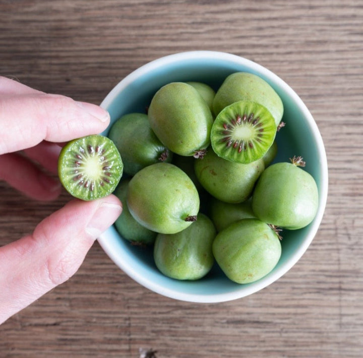 Kiwi fruit – Ladybird Nursery