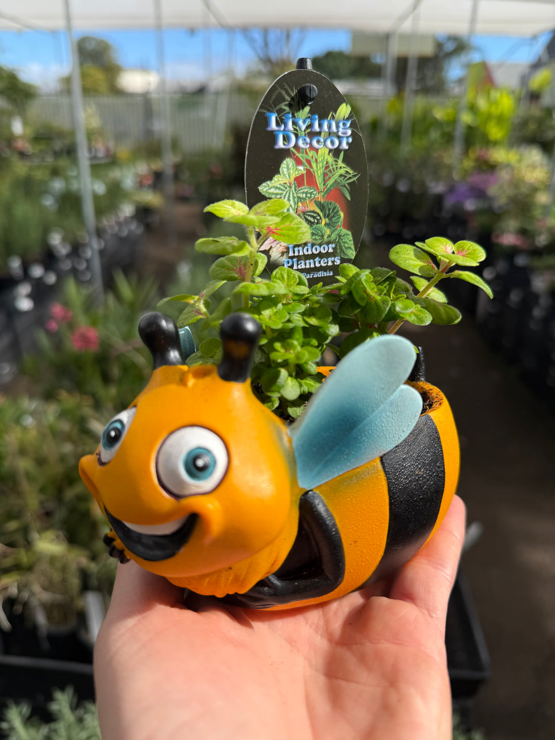 Bee Planter with Assorted Indoor Plant