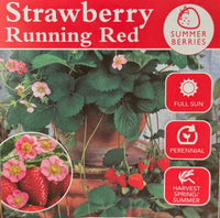 Strawberry 'Running Red'