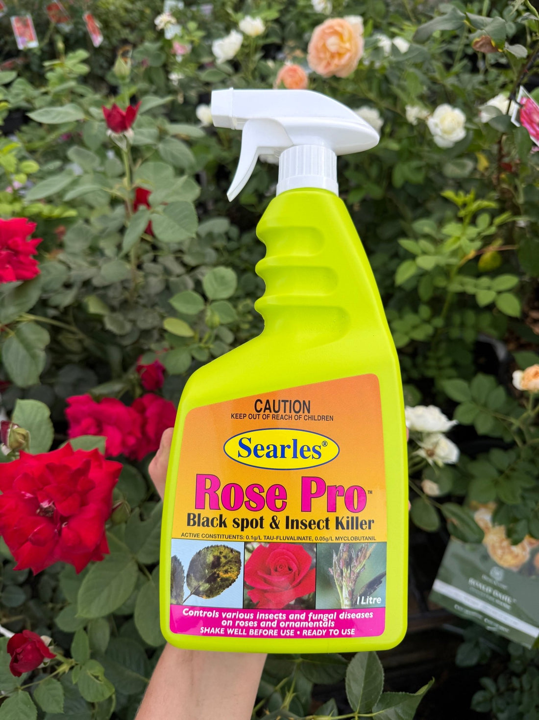 1L Searles Rose Pro Blackspot & Insect Killer - Ladybird Nursery