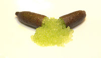 Finger lime Crystal (QLD only)