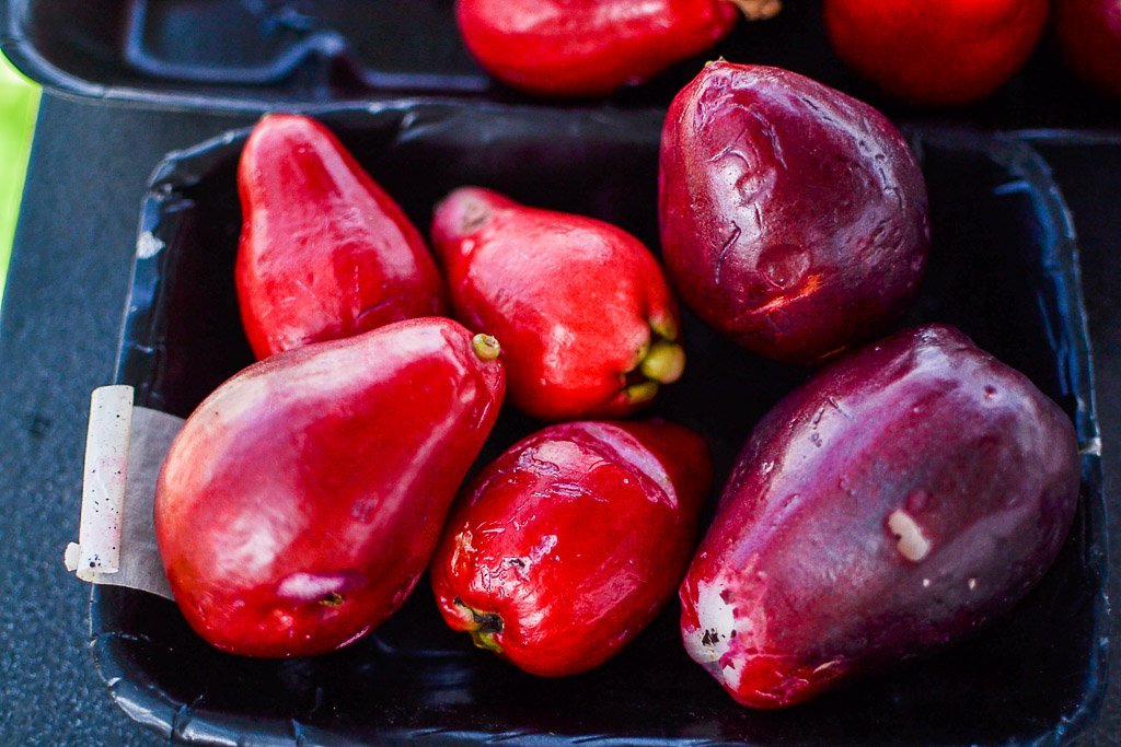 Malay Apple Fruit Tree - Ladybird Nursery