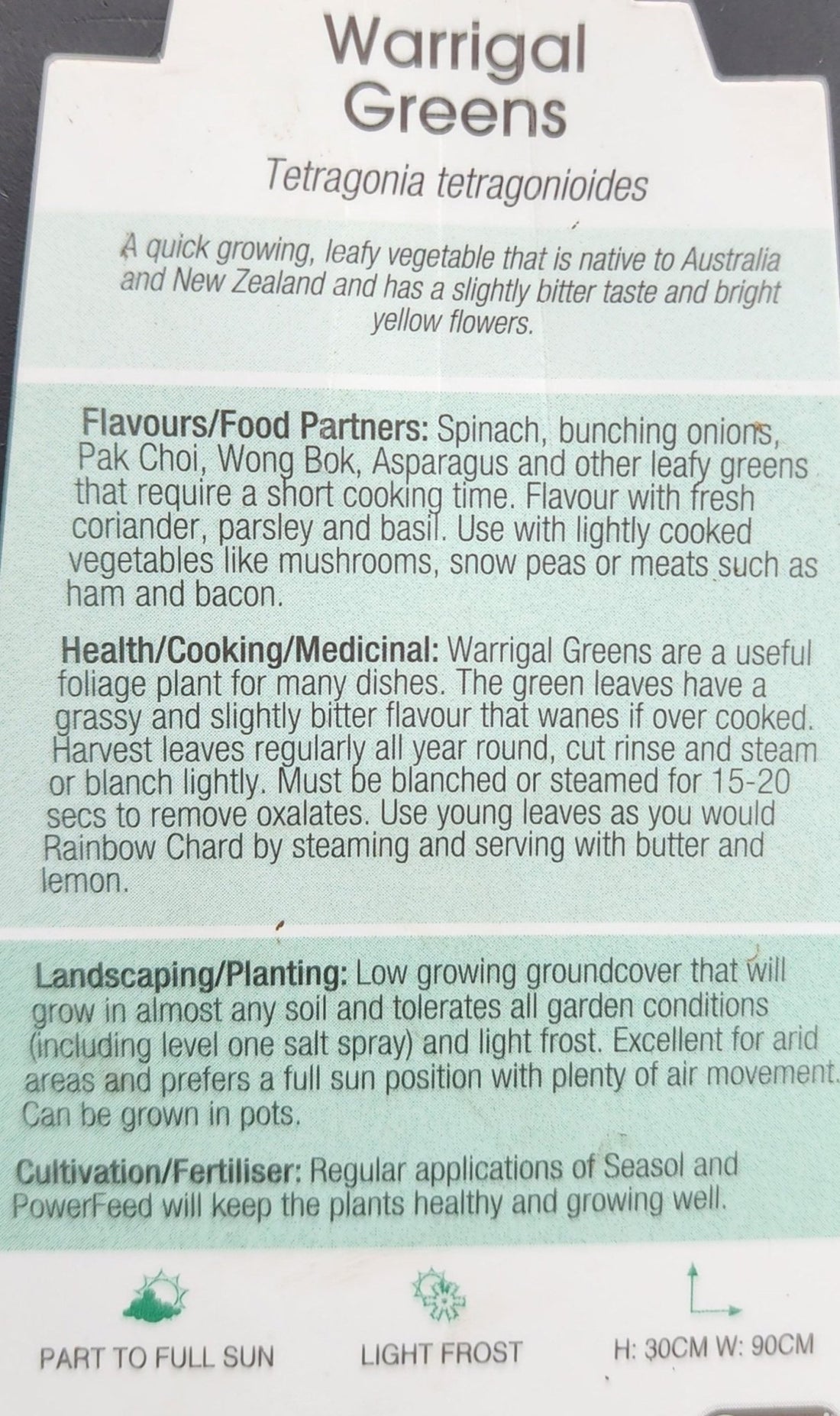 Warrigal Greens - Ladybird Nursery