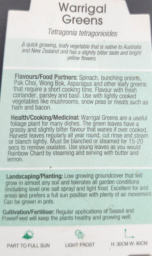 Warrigal Greens - Ladybird Nursery