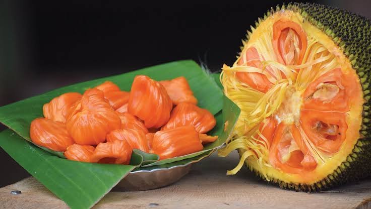 Red Jackfruit (Atocarpus Rajang) - Ladybird Nursery
