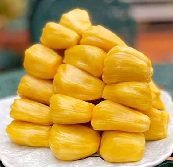 Crunchy Gold Jackfruit - Ladybird Nursery
