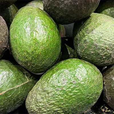 Avocado Zutano (B) - Ladybird Nursery