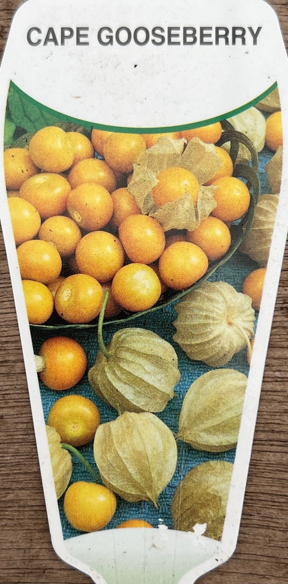 Cape Gooseberry (Incaberry) - Ladybird Nursery
