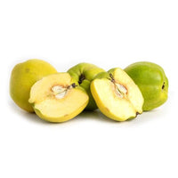 Quince 'Pineapple' Large - Ladybird Nursery