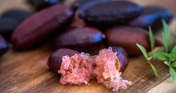 Purple Finger Lime (QLD Only) - Ladybird Nursery