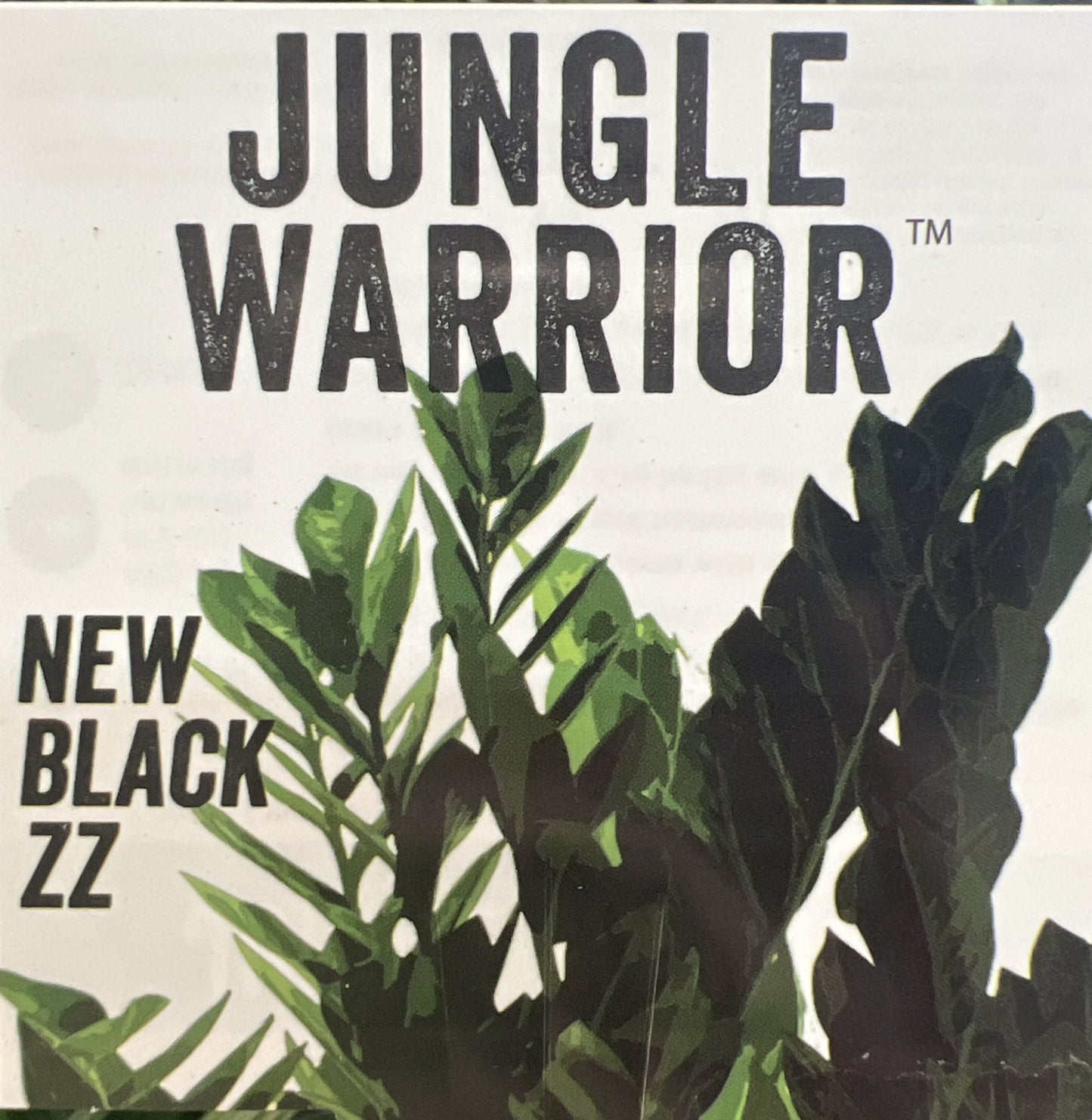 Jungle Warrior Black Zanzibar Gem