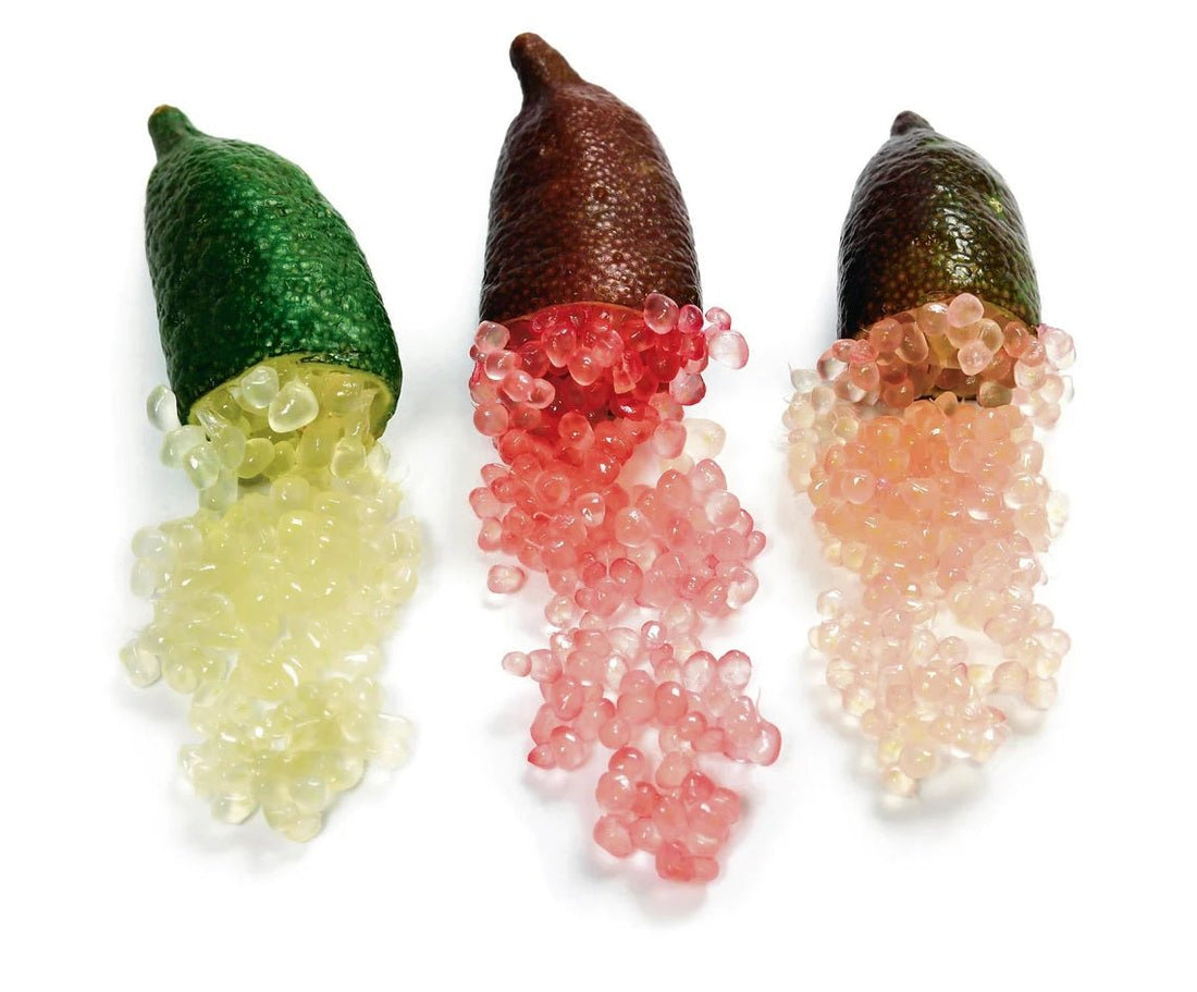 Finger lime Crystal (QLD only) - Ladybird Nursery