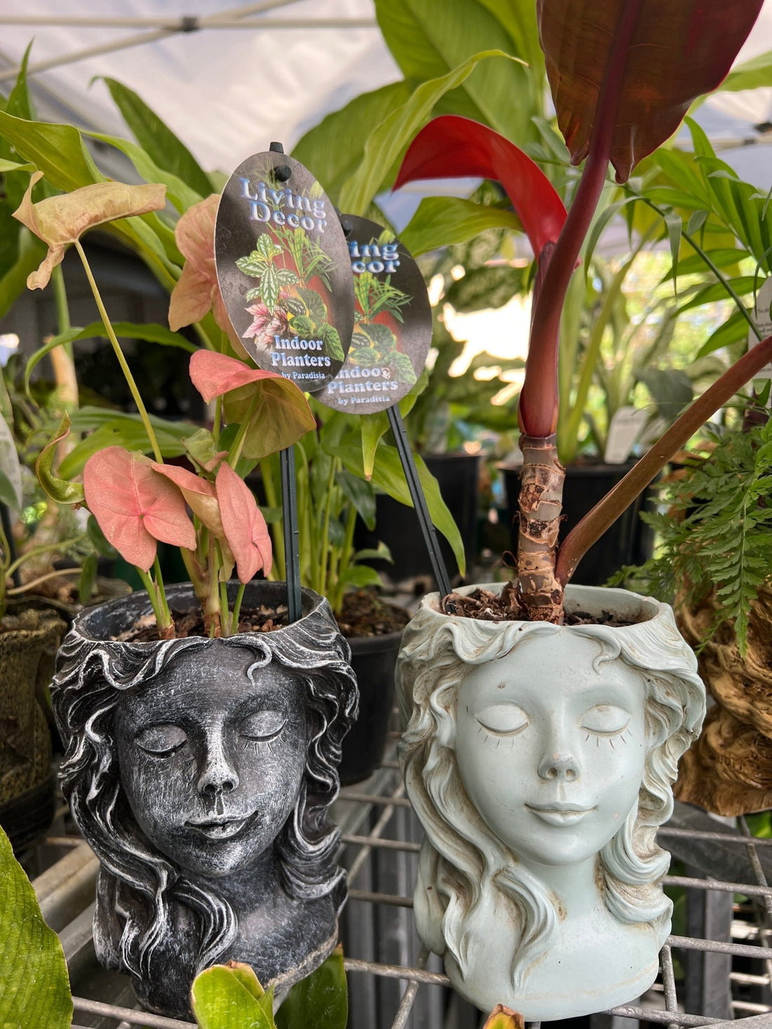 Head Planter Pot - Ladybird Nursery