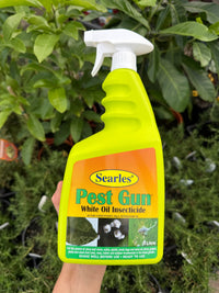 1L Searles Pest Gun White Oil - Ladybird Nursery